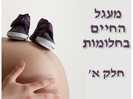 מעגל החיים בחלומות - חלק א'